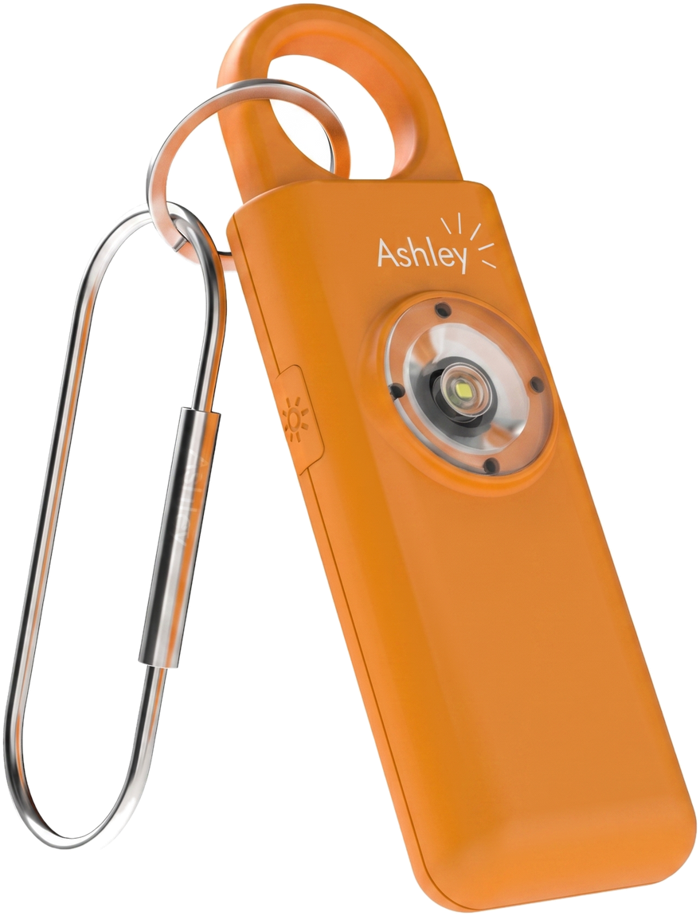 Ashley Alarm 2
